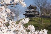 【歴史】高田城址公園