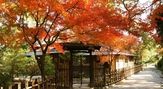 特別名勝　栗林公園