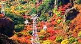 寒霞渓