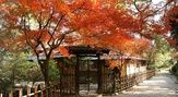 特別名勝　栗林公園