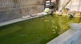 国見温泉