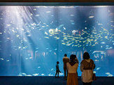 四国水族館