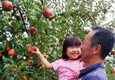 果物狩りを楽しむ　果実の国～カップルズ～