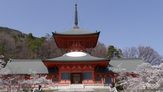 信州善光寺（長野県長野市）
