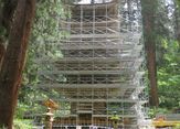 国宝 「羽黒山五重塔」