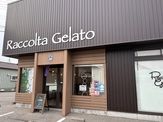 【羽咋】Raccolta Gelato
