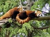 いしかわ動物園