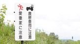 愛妻の丘
