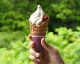 豊根グリーンポート宮嶋