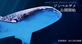 のとじま水族館
