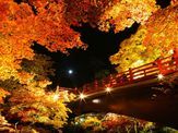 ~越後一ノ宮~弥彦神社