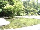 滋賀県醒井（さめがい）養鱒場