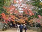 永源寺