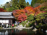 百済寺(湖東三山)
