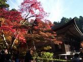 金剛輪寺（湖東三山）