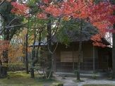 福岡の名園めぐりコース
