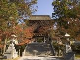 博多三社めぐりコース