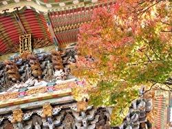 せとうちブログvol.10【西の日光】耕三寺