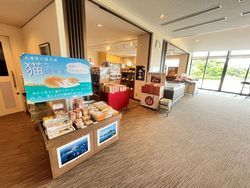 売店で見つける、かわいい猫のお土産