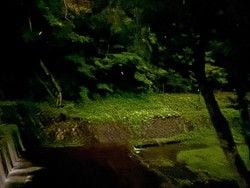 2026ホタル観察日記⑤　秩父上町バス初日！