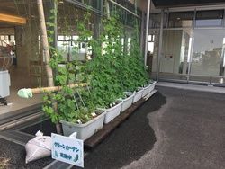どんどん成長しています！！