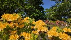 生命力にあふれる、支笏湖の大自然