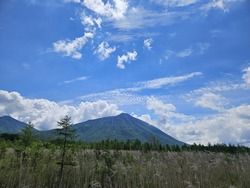 戦場ヶ原を歩いてきました！