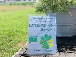 幸せのクローバーみ～つけた