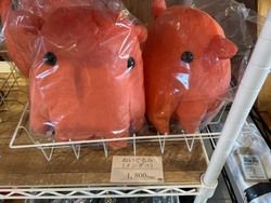 売店の可愛い海のぬいぐるみ達を紹介！