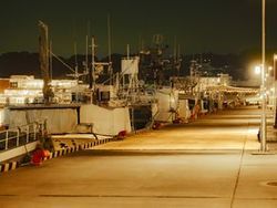 夜の気仙沼内湾へ。静かな散歩時間を楽しむ