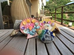 体験プログラム　「サザエ、ヒオウギアート」