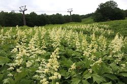 あみはりの森自然情報(第５回)