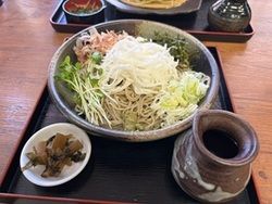 信州山形村唐沢そば街道『石碾き蕎麦 水舎　つつみ庵』