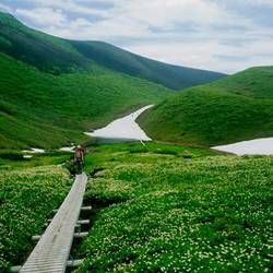 秋田駒ケ岳 自然観察会