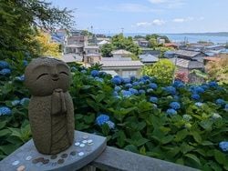 男鹿のアジサイ寺【雲昌寺】