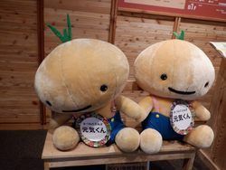 本日開催！安曇野玉ねぎ祭り！！