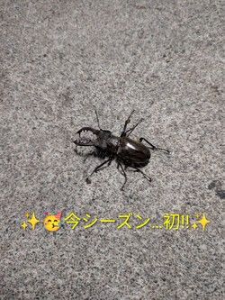 ！みぃ～つけたぁ~！