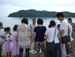 夏季限定　水草観察会