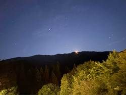 この時期の夜に光る