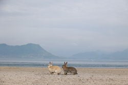 7/6～7/10はお得に泊まろう♪「オフピーク旅期間」