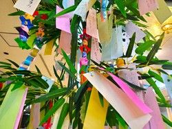【七夕イベント】短冊に願いを込めて☆彡