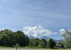 朝の散歩毎日開催しております