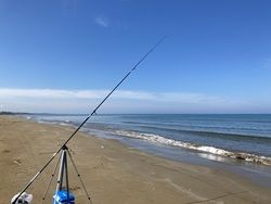 キス釣りのはずが…