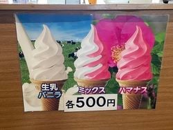 お花のソフトクリーム？！
