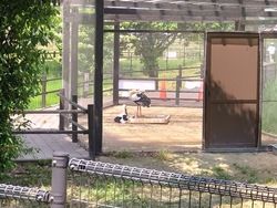 兵庫県立コウノトリの郷公園