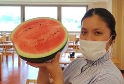 鳥取の自慢「大栄スイカ」はここで買える！