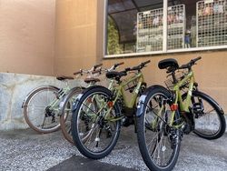 市内観光に便利なレンタサイクル「いぶりん」