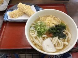 讃岐うどん新店情報!!