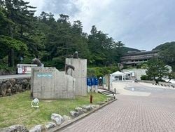 雨の日でも楽しめる水族館