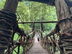 ずっと行きたかった　祖谷のかずら橋　大歩危遊覧船バスツアー